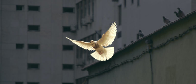 Are we entering a 'new age', a third World War?